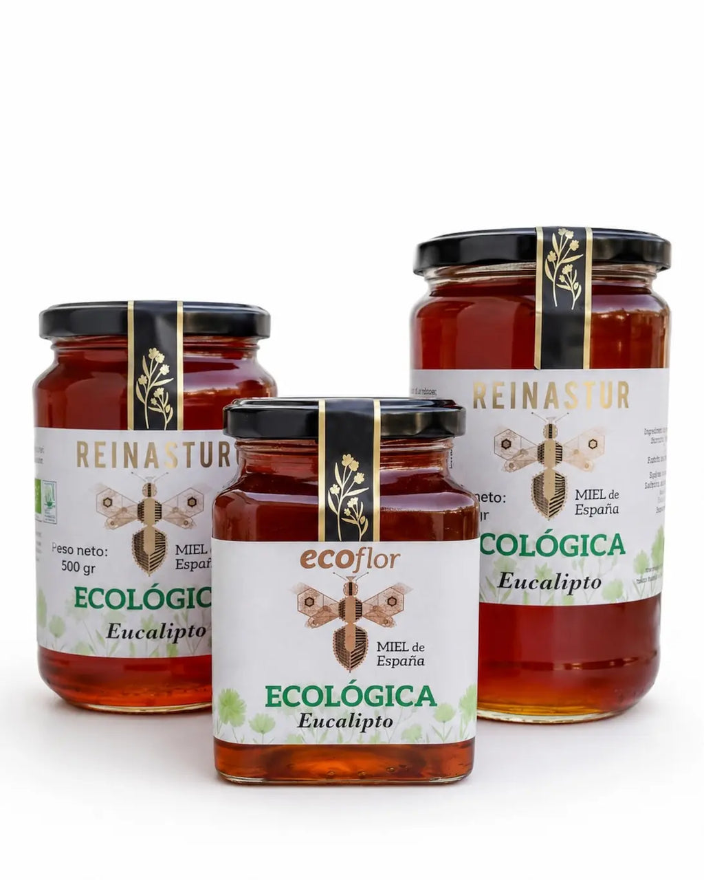 Tres tamaños de tarros de miel ecológica de Eucalipto de las marcas Reinastur y Ecoflor ordenados por escala sobre fondo blanco.