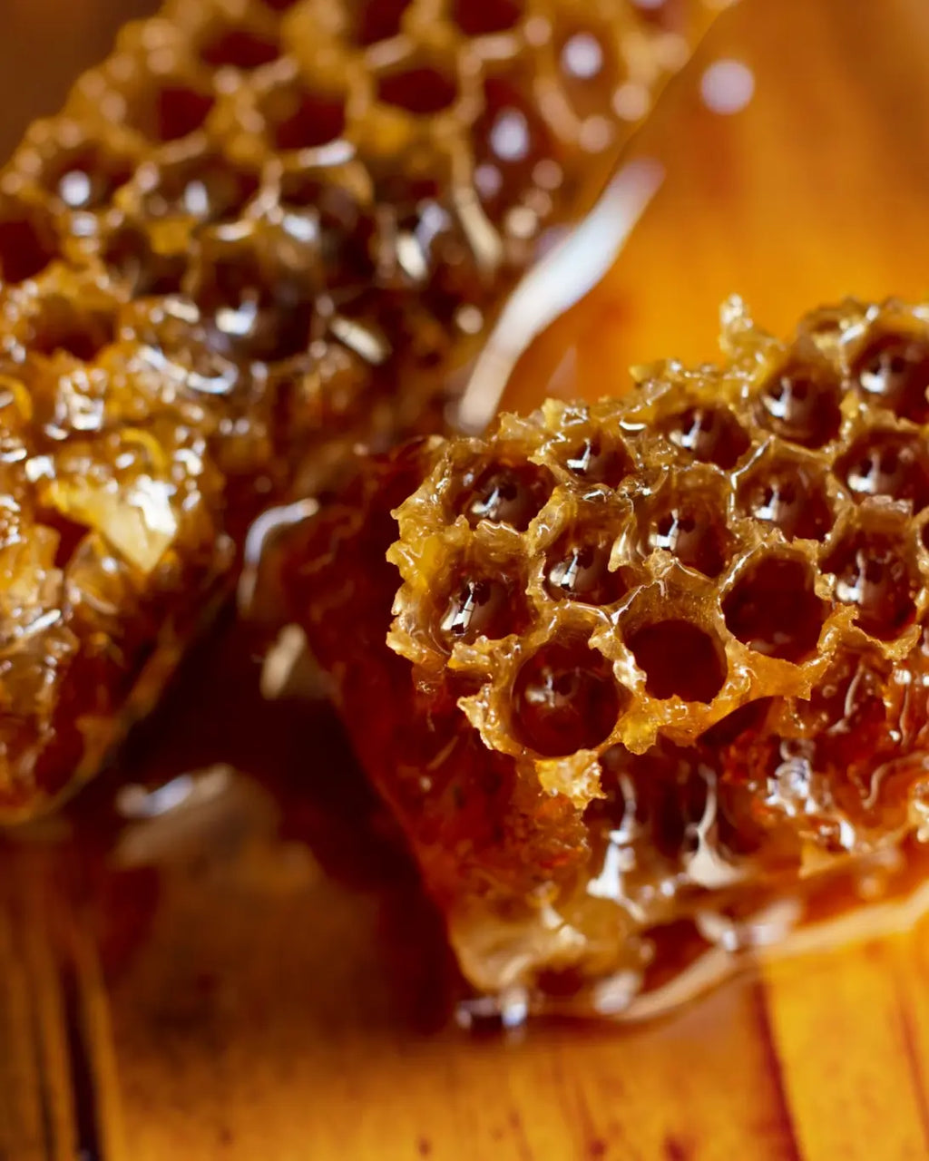 Detalle de panal de miel natural elaborado por las abejas en las colmenas de Reinastur, productores de miel en Asturias.