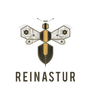 Reinastur – Inicio