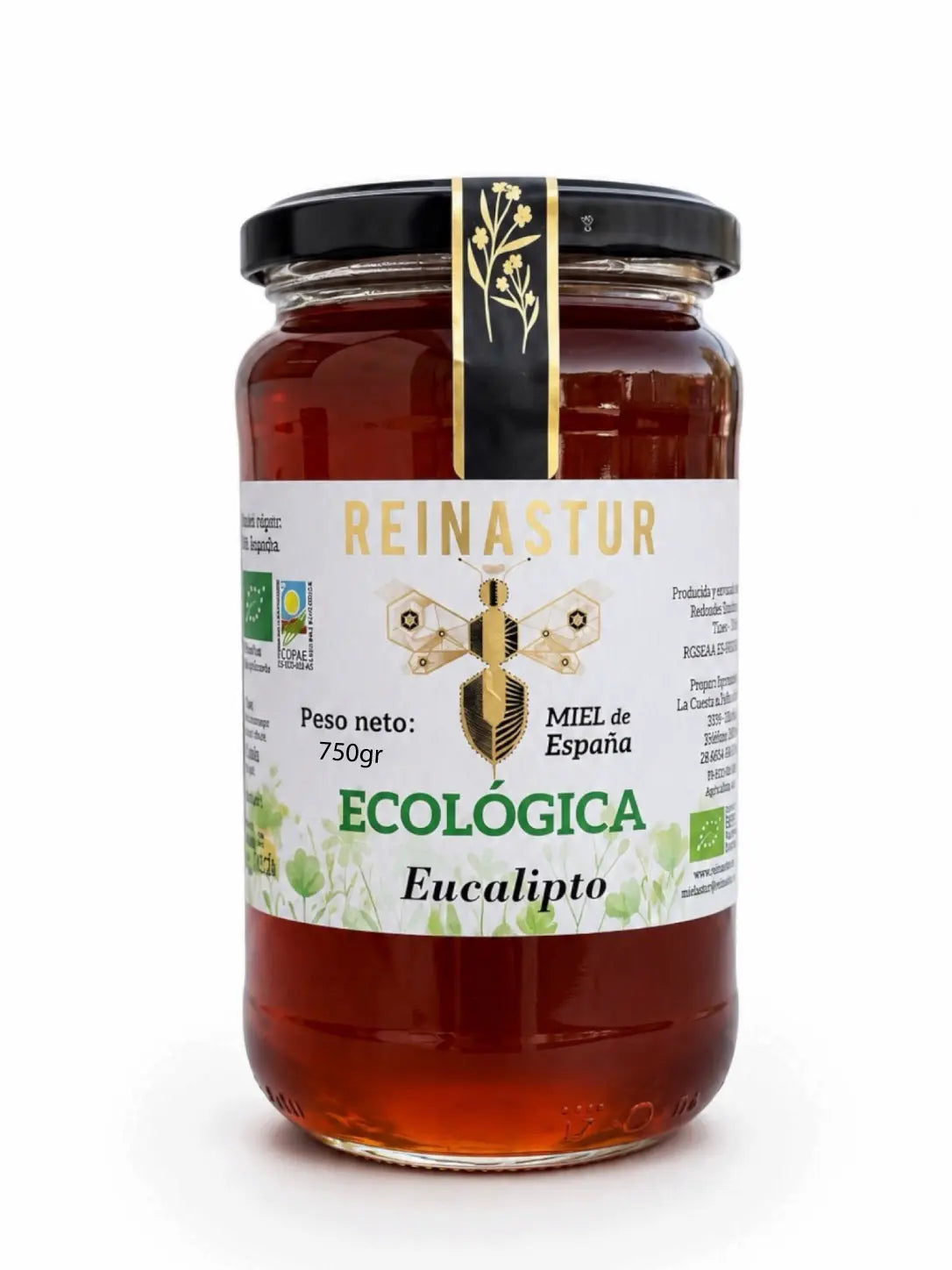 Tarro grande de miel ecológica de Eucalipto Reinastur de color ámbar brillante sobre fondo blanco aislado.