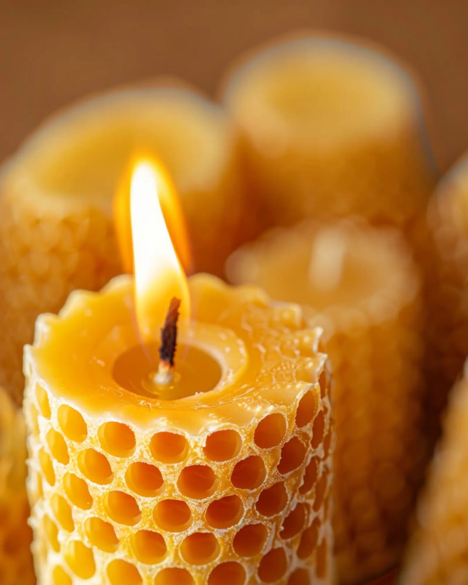 Conjunto de varias velas de cera de abeja natural enrolladas a mano sobre una superficie de madera, ideales para decoración o regalo de eventos.